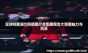 记者：纽卡正密切关注莱斯特城外租球员哈努斯，水晶宫也有意