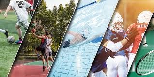 意甲第13轮纪律报告：阿莱格里对裁判出言不逊染红被停赛一场